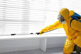 Best Indoor Pest Control  in Zwolle, LA